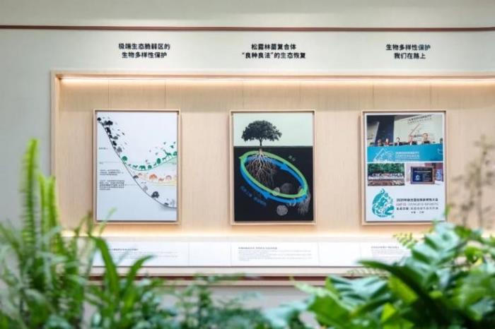 弘揚(yáng)高山植物魅力，植物醫(yī)生高山松露博物館驚艷亮相昆明
