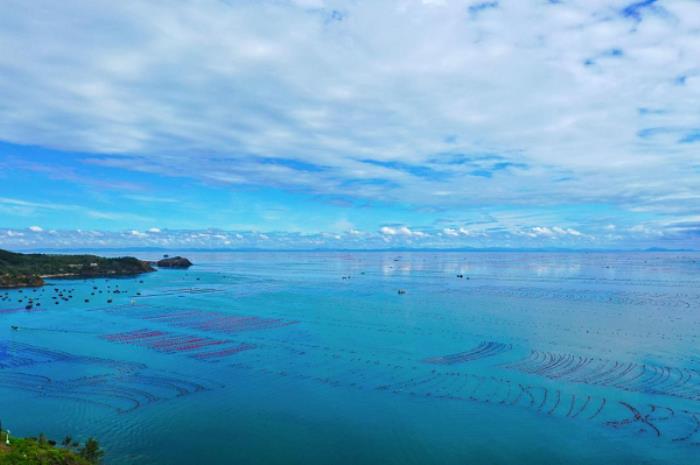 長(zhǎng)海海螺，鮮味崛起，璀璨未來