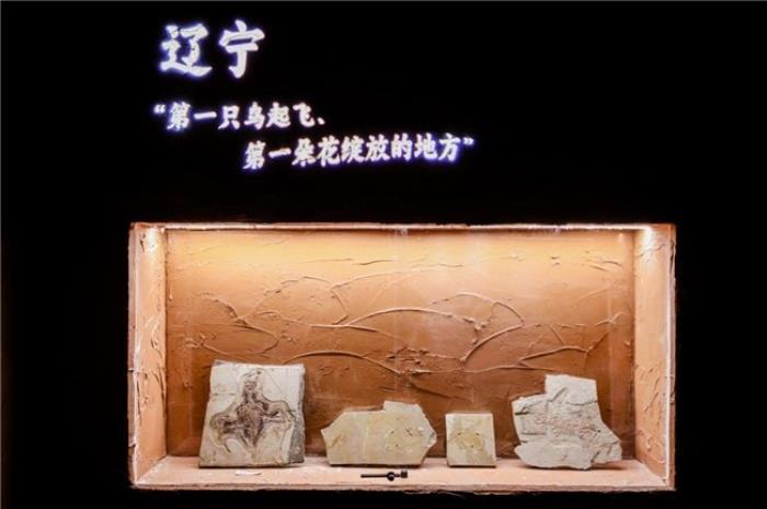BOE（京東方）打造東北首個沉浸式數(shù)字藝術(shù)體驗空間 科技解碼文明釋放數(shù)字文旅想象力