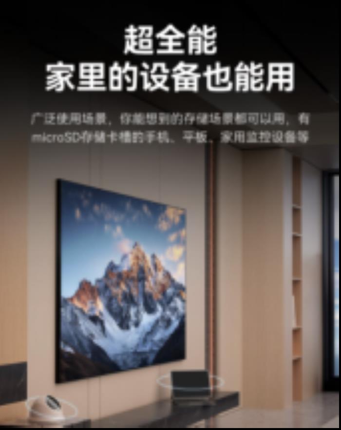 雷克沙推出Professional SILVER PLUS microSD存儲卡，滿足多種設(shè)備需求