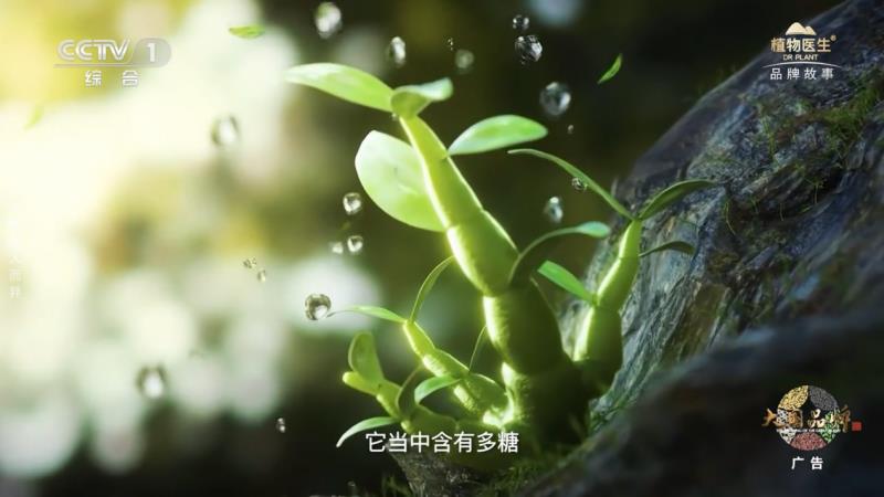 當(dāng)民族智慧對(duì)話央視鏡頭，植物醫(yī)生以中國(guó)成分“破壁”敘事